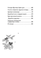 Петронелла - добрая ведьма с яблоневого дерева Printed books Питер