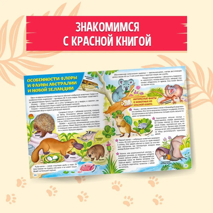 Атлас животных для детей, 5+ | Скворцова Александра Printed books Проф Пресс