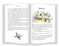 Криволапыч Printed books Абрикобукс