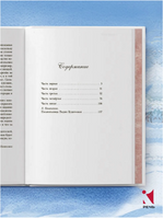 Повесть о рыжей девочке. Будогоская Л. Printed books РЕЧЬ