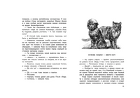 Животные на войне. Как птицы и звери помогли нашей армии победить. Кокосов В. Printed books РЕЧЬ