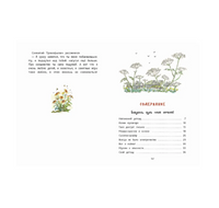 Бабушка, будь моей дочкой. Котовщикова А. Printed books РЕЧЬ