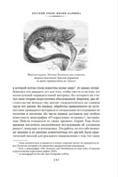 Происхождение видов путем естественного отбора. Дарвин Ч. Printed books Азбука