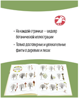 Софи в мире деревьев Printed books Белая Ворона