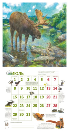 Календарь 2024. Календарь родной природы/ Мошинская И. - [купить в сша] - [Bookvoed US]