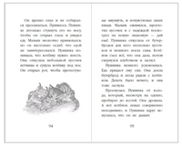 Котёнок Снежинка, или Зимнее волшебство. Холли Вебб Printed books ЭКСМО