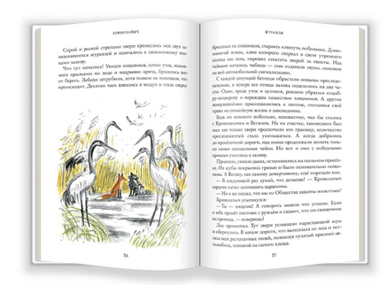 Криволапыч Printed books Абрикобукс