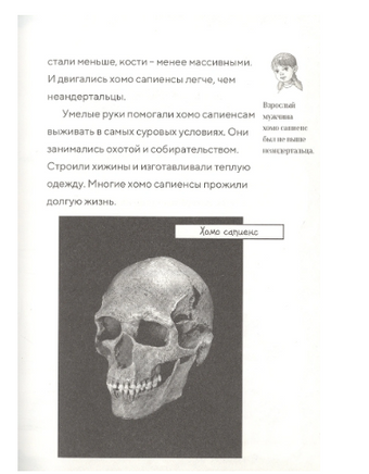 Поуп Саблезуб на закате (Волшебный дом на дереве - 7)/ Осборн М. - [купить в сша] - [Bookvoed US]