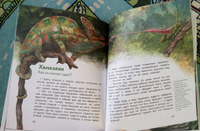 Динозавры и другие пресмыкающиеся. Детская энциклопедия с Чевостиком Printed books МИФ