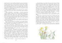 Динка прощается с детством. Осеева В. А. Printed books РЕЧЬ