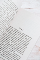 Пионовый фонарь. Энте Санъютэй. Мягкий переплёт Printed books АСТ