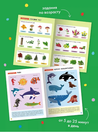 Школа Семи Гномов. Годовой базовый курс. Комплект 3+ Printed books Мозаика-Синтез