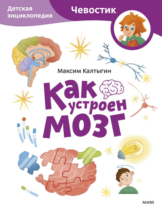 Как устроен мозг. Детская энциклопедия (Чевостик) (Paperback) print book МИФ редакция