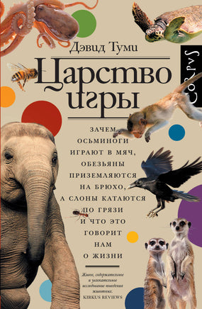Туми Д. Царство игры Printed books Новинки июнь 2026