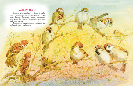 Воробьишкина весна. Сладков Н.И. Printed books РЕЧЬ