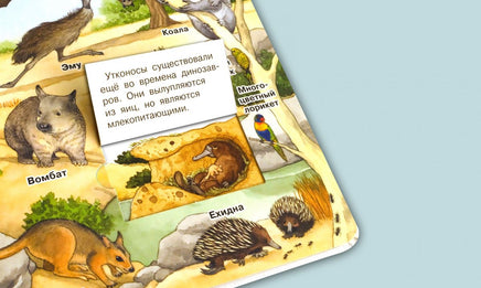 Что? Почему? Зачем? Мой первый атлас мира (с волшебными окошками) Printed books Омега