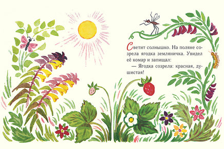 Земляничка. Павлова Н. Странички-невелички Printed books Речь