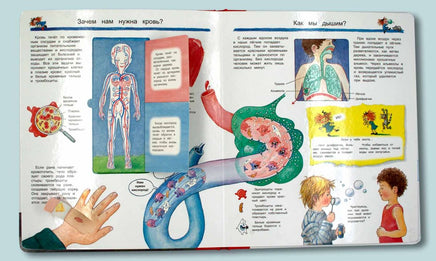 Что? Почему? Зачем? Изучаем наше тело(с волшебными окошками) - [bookvoed_us]