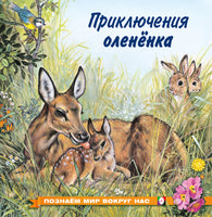 Приключения олененка Printed books Фламинго