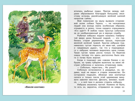 Мамин-Сибиряк Д.Н. Серая шейка. Рассказы и сказки Printed books Омега