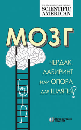 Мозг: чердак, лабиринт или опора для шляпы Printed books Лаборатория знаний