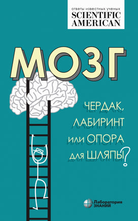 Мозг: чердак, лабиринт или опора для шляпы Printed books Лаборатория знаний