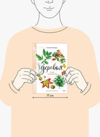 Деревья. Атлас-определитель Printed books Миф