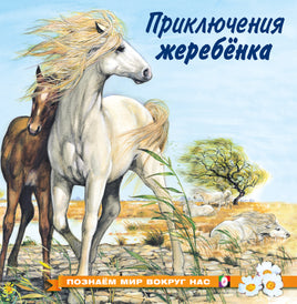 Приключения жеребенка Printed books Фламинго