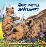 Приключения медвежонка Printed books Фламинго