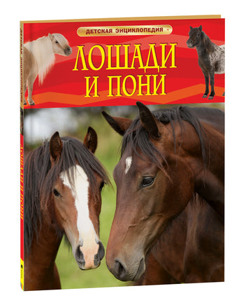 Лошади и пони. Детская энциклопедия printed books Росмэн Издательство