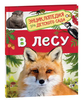В лесу (Энциклопедия для детского сада) printed books Росмэн Издательство