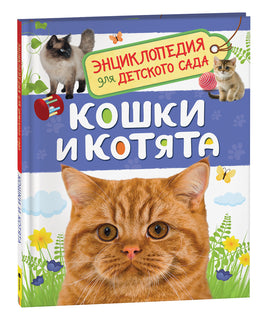 Кошки и котята (Энциклопедия для детского сада) printed books Росмэн Издательство