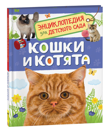 Кошки и котята (Энциклопедия для детского сада) printed books Росмэн Издательство