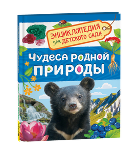 Чудеса родной природы (Энциклопедия для детского сада) printed books Росмэн Издательство