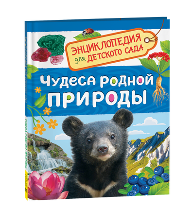 Чудеса родной природы (Энциклопедия для детского сада) printed books Росмэн Издательство