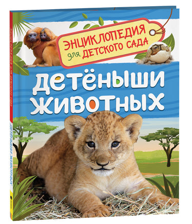 Детеныши животных (Энциклопедия для детского сада) printed books Росмэн Издательство