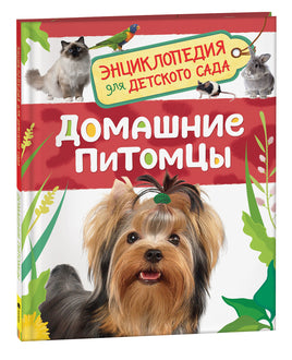 Домашние питомцы (Энциклопедия для детского сада) printed books Росмэн Издательство