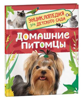 Домашние питомцы (Энциклопедия для детского сада) printed books Росмэн Издательство
