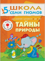 Школа семи гномов. Полный годовой курс. Комплект 5+ Printed books Мозаика-Синтез