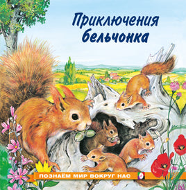 Приключения бельчонка Printed books Фламинго