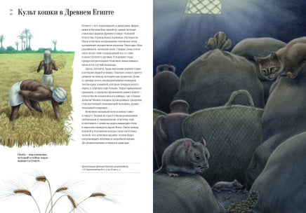 Как кошка приручила человека: история кошек и людей Printed books Пешком в Историю