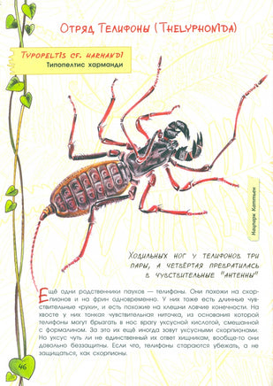 В джунглях не только тигры. Жучкипаучки Семенюк И.И. Printed books Лаборатория знаний