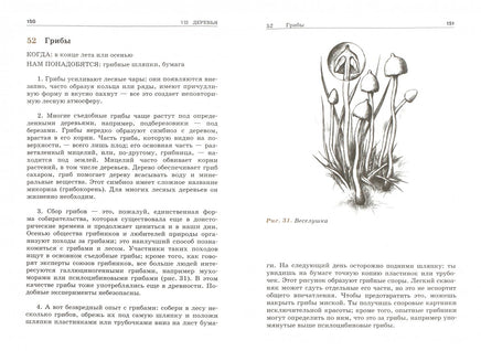 От звезды до росинки. 120 удивительных явлений природы Printed books Лаборатория знаний