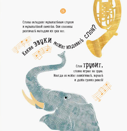 Професор карапуз: О чем думает слон? (р) - [bookvoed_us]