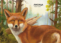 Лесные животные в натуральную величину МАХАОН