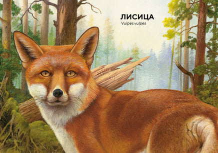 Лесные животные в натуральную величину МАХАОН