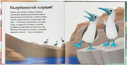 Птицы и букашки:от носа до хвоста Printed books Пешком в Историю