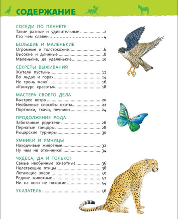 Удивительные животные. Энциклопедия для детского сада Printed books Росмэн