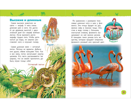 Удивительные животные. Энциклопедия для детского сада Printed books Росмэн