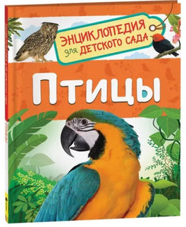 Птицы (Энциклопедия для детского сада) - [bookvoed_us]